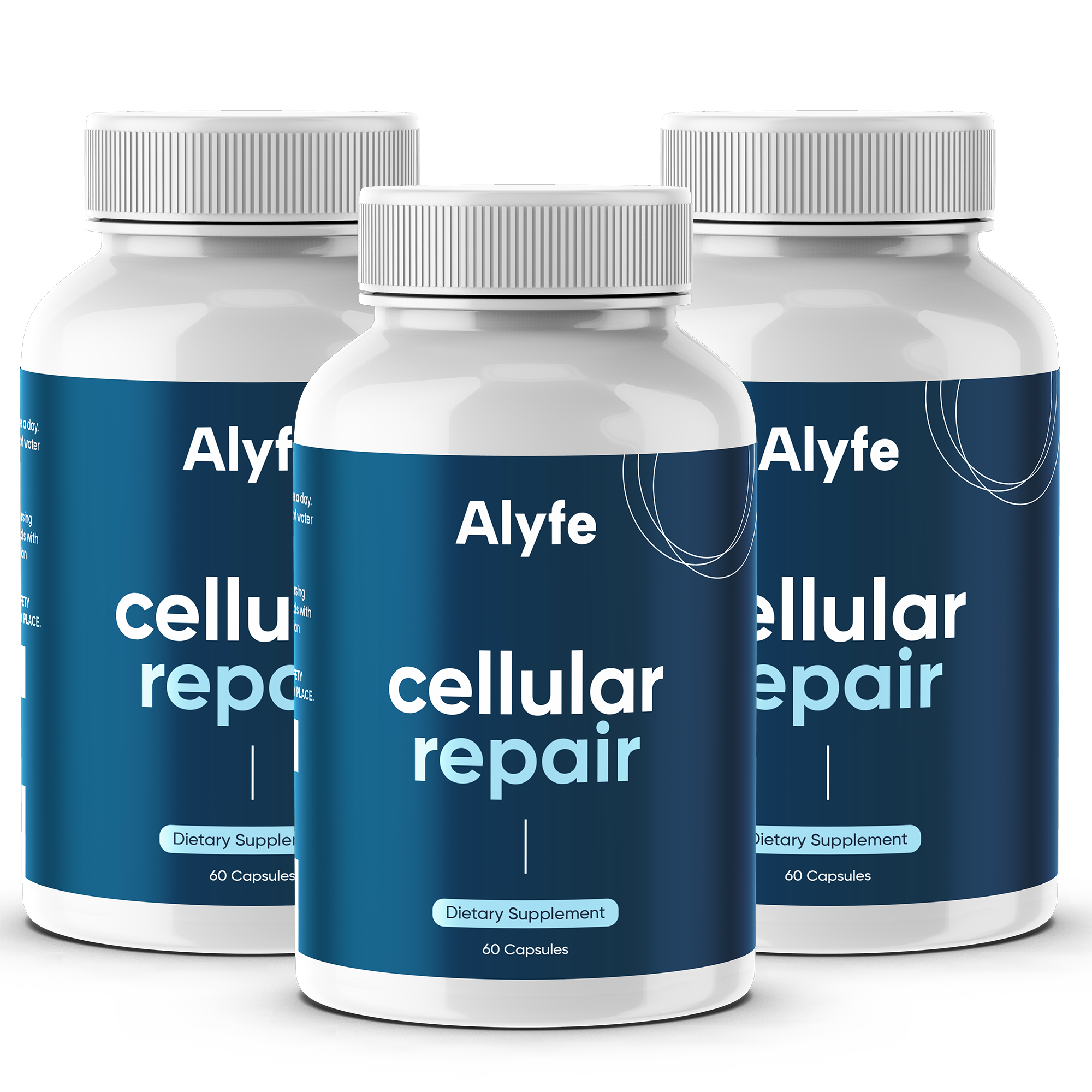 Cellular Repair